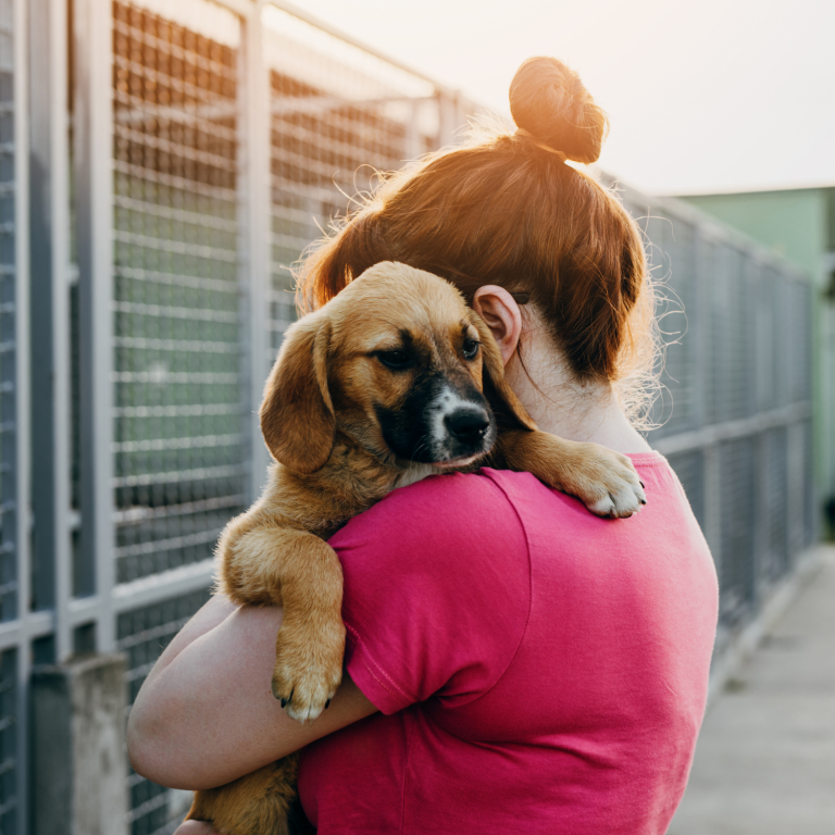 Probleme im Tierschutz Frau trägt Hund im Tierheim